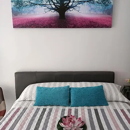 Estudio Emma Torrevieja Extérieur photo