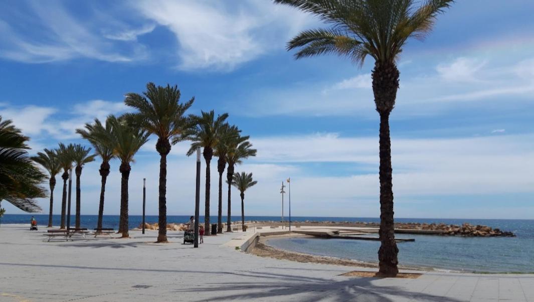 Estudio Emma * Torrevieja