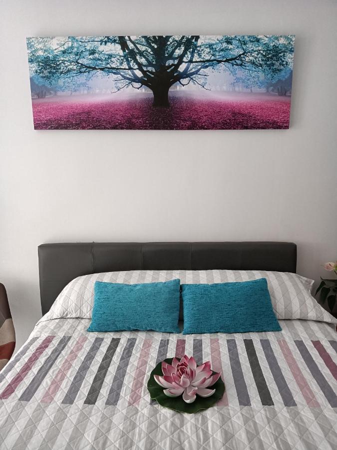 Estudio Emma Apartament